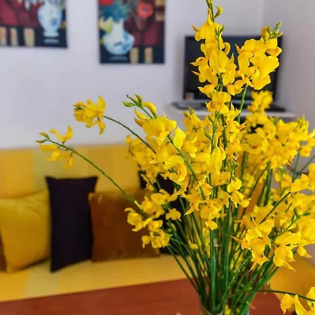 In - Insel Krk 34433 Апартаменты *